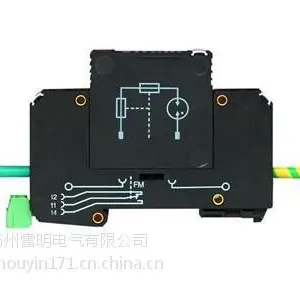 PT���Ե㱣����F-MS25-PVT/FM�ӵر�����