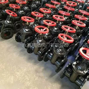 Z45T-10 ��ˮբ�� DN50 DN65 Шʽ��������բ�� �㽭���ط���