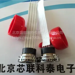 NPI-19A-CZ701AH���ͻ�ϵͳ316�����ѹ���������ͳ��100g