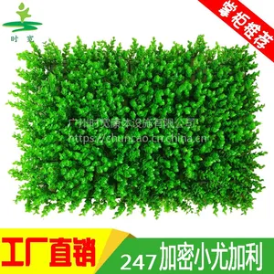 广州时宽仿真绿植物墙体店铺门头外墙面米兰草装饰假草坪塑料花草坪