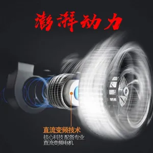 �������羲���������������̻�������A2���̴���***