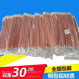 飞斯特 FESTE 接地线 镀锡纯铜桥架接地线