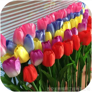 �����ˮ �ز�� ��ɫ�ز�ƻ����ƹ�ڲ�ص�