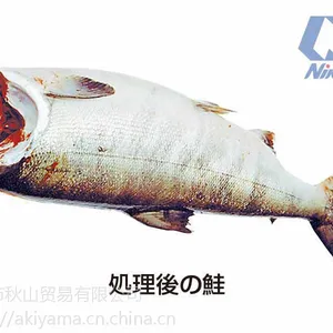 �ձ��������˻�еNIKKO����ʽȥ��ͷ����NBH-100