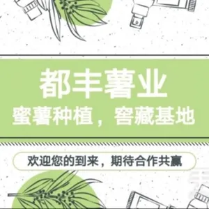 夏津县都丰家庭农场