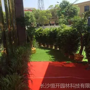 ֲ��������