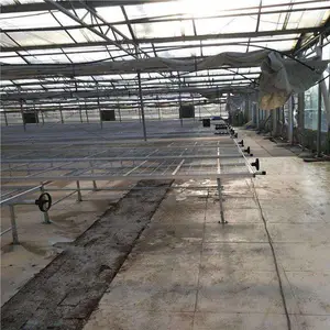 河北省定做温室苗床网销量***