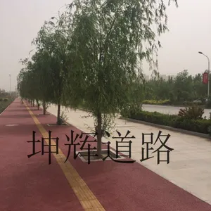 唐山透水地坪厂家 石家庄透水混凝土地坪厂家施工 海绵城市