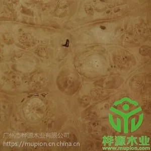 大同天然木皮、桦源(图)、天然木皮贴皮工艺