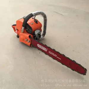 ԰��ר�������� ��������ͷ������ ���������������