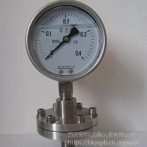 油侵式压力表防腐耐震隔膜压力表YTP-100/YTPFN-150精度1.6级不锈钢材质
