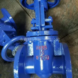 Z45T-10 ��ˮբ�� DN50 DN65 Шʽ��������բ�� �㽭���ط���