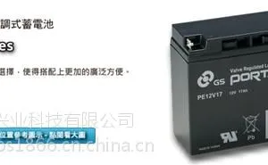 GS.PORTALAG蓄电池PE12V12 12V12AH铅酸电池