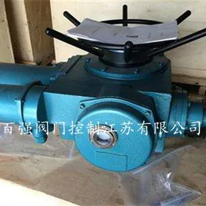 ��Ӧ���ת���ŵ�װ��DZW�綯ִ��װ��