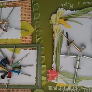 沉头 拉铆钉 铆钉 封闭拉铆钉 沉头 飞蓬 抽芯铆钉