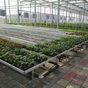 汉明温室多层苗床-多层移动苗床定制-值得信赖厂家