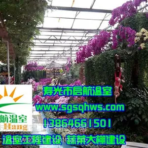 智能温室 玻璃连栋智能温室 寿光市启航温室
