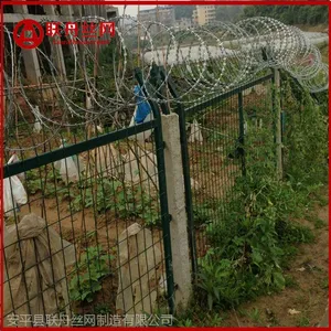 �ٳ���˫��˿������,����������