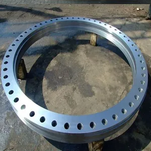 06Cr19Ni10法兰不锈钢06Cr19Ni10带颈对焊法兰 SH3408