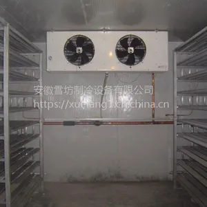Danfoss/丹佛斯 呼和浩特市肉类冷藏冷库厂家建设 找雪坊冷库