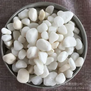 博淼天然 机制鹅卵石 水磨石专用白色石子 彩色石子 洗米石 造景小石