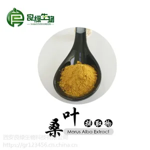 供应桑叶提取物 10:1 现货包邮 西安良绿生物 棕黄色粉末 25kg/纸板桶