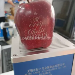 ��������ֱ��CO2��������ǽ����ֹ�ľ����DIY��Ƭˮ������ǿ��������ص��