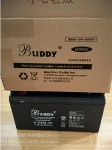 宝迪BUDDY蓄电池6-FM-24/12V24AH代理商报价|应急电源蓄电池