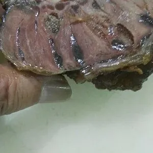 河北天烨酱卤牛肉牛肉干提高出品率注射生产技术提高保水性