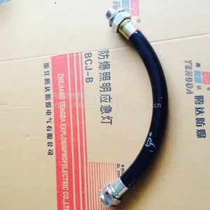 防爆穿线软管 2米防爆连接管 可订制任意规格