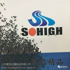 钢丸 钢砂 厂家直销 海量供应 合金钢砂GH25(SG1.0mm)
