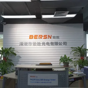 深圳市铂胜光电有限公司