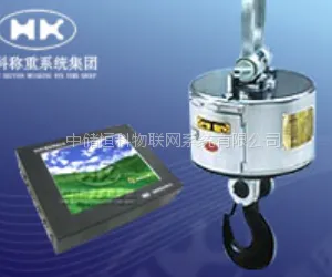 恒科ORS高精度电子吊秤