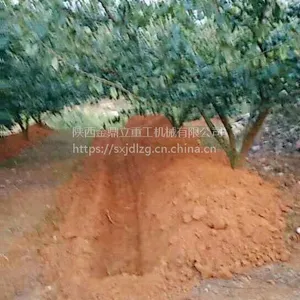 ����С���ھ�� 75����ʽ�ھ�� �๦��������