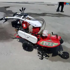 �ַ�ʽ������������ ����С�����Ϳ��������� ������¢����������