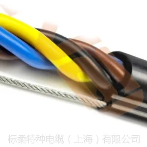 PENDANT CABLE电动葫芦电缆lift-1s