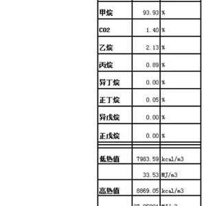 �Ϻ����������˾GS-200 ,LNG�����ǣ�LNG��ֵ������
