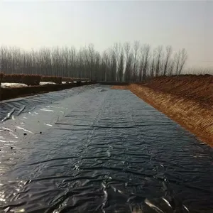 β����������Ĥ���