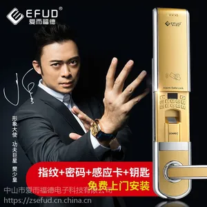供应EFUD 智能电子锁, 天地杆锁, ***智能防盗锁,小区别墅专用锁,报警锁 指纹锁图