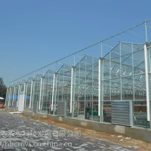 �ӱ����ҳ��ҳ�����������ּܡ��߲˴���ּ�