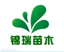 沭阳县锦瑞绿化苗木场