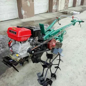 ������ˮ�ﺵ������12�������� ũ�ù�԰ �ַ�������¢��
