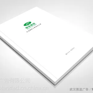 武汉奥发餐饮画册设计