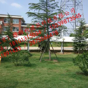 ����������Ĥ�ṹ���� ͣ���� ���г������˹PVDF