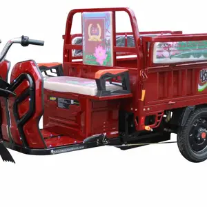丰收干电三轮电动车,家用休闲电动三轮车,客货两用电瓶三轮车,60km,400kg