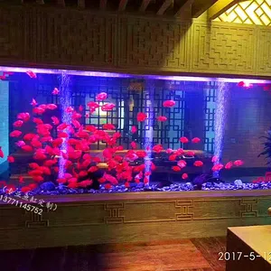 江苏大型鱼缸制作大型亚克力鱼缸 定做有机玻璃水族工程 海洋馆 水族馆工程