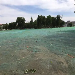 �ߺ���������� ɳ�������� ����������������
