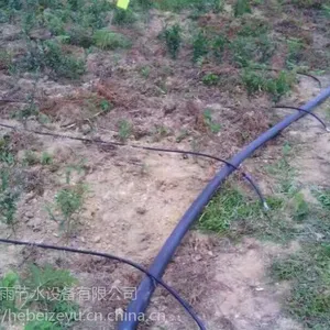 ������ֲ�ι����Ĺ�˾�ι�ܲĳ���ֱ��