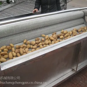 现货供应 山药毛滚去皮清洗机 多功能毛滚清洗机诚品制造
