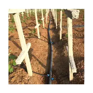 ���ѹ�԰�ι�ˮ��һ�廯�豸���